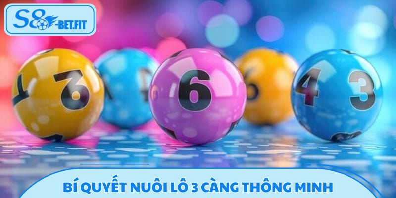Bí quyết nuôi lô 3 càng thông minh, tối ưu lợi nhuận