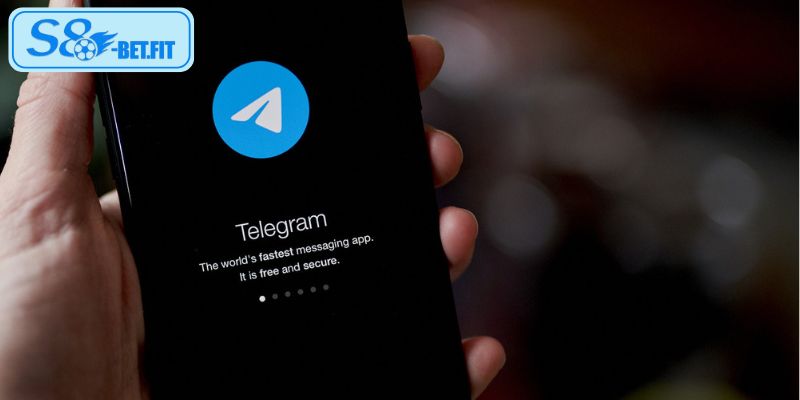 Cung cấp thông tin chính xác khi tiến hành liên hệ S8