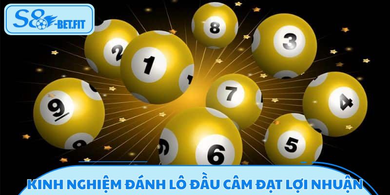 Bật mí kinh nghiệm đánh lô đầu câm đạt lợi nhuận tối đa