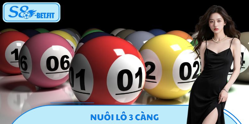 Nuôi Lô 3 Càng - Bí Kíp Chinh Phục Giải Đặc Biệt Tại S8